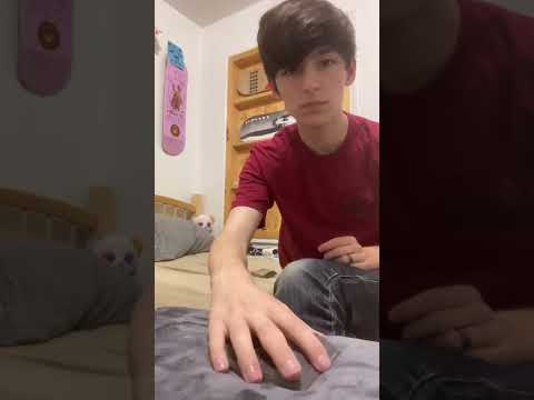 Midnight Zombie Marathon review