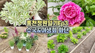 홍천정원일기Ep3!! 아버지가 만들어주신 수국&야생화 화단!! feat. 방부목