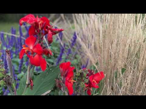 Paul Palleschi Rec Centre