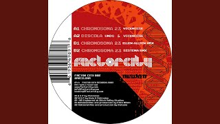 Chromosoma 23 (Ellen Allien Remix)