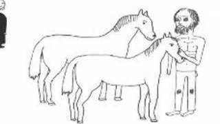 Bonnie Prince Billy - Agnes queen of sorrow