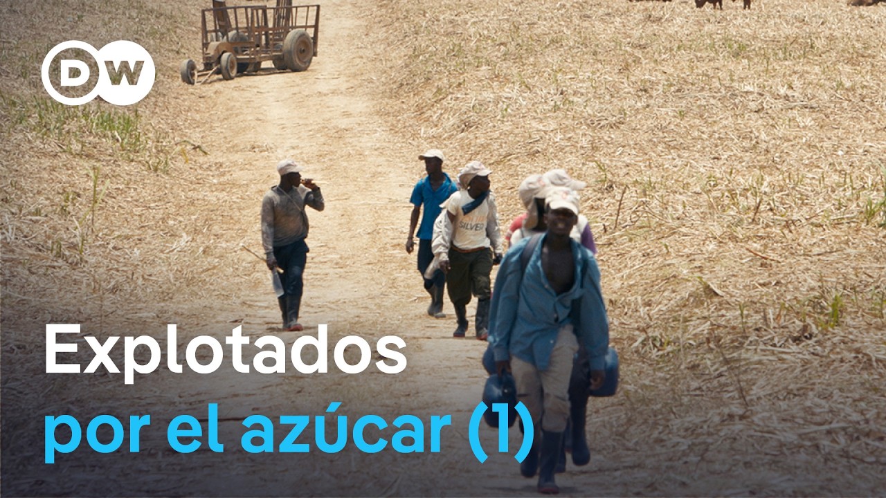 Sangre, sudor y trata de personas - Cómo el azúcar creó la esclavitud (1/2) | DW Documental