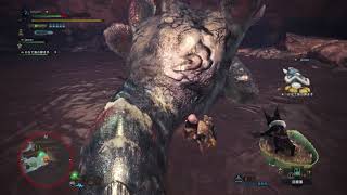 「MHW」禿げ頭だってモンハンワールドしたい#11