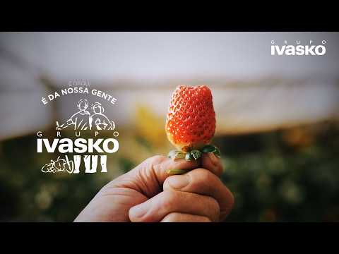 SELO VERDE | Grupo Ivasko - Irati/Paraná