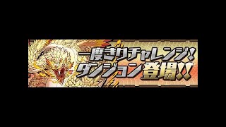 パズドラ　一度きりチャレンジ超絶決戦　闇アテナ　ぱぱの下手くそパズル