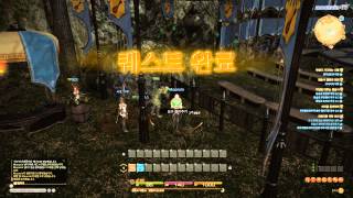 초반 퀘스트 넘쳐나네요