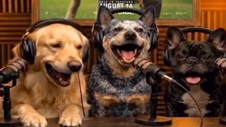 Download lagu A Marketing Stunt So Bad They Took It Down Immediately mp3