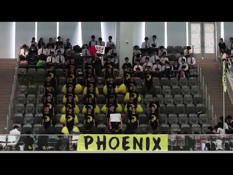 2018—19 SGSS Swimming Gala Cheering Competition - Phoenix House