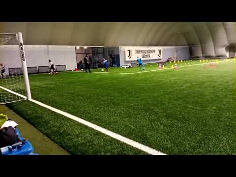 Szkółka Techniki Fundamentalnej