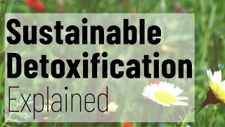 How to Detox Naturally