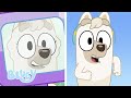 Wendy And Judo S Brand New Look ️ New Season 3 Clip Dirt Bluey