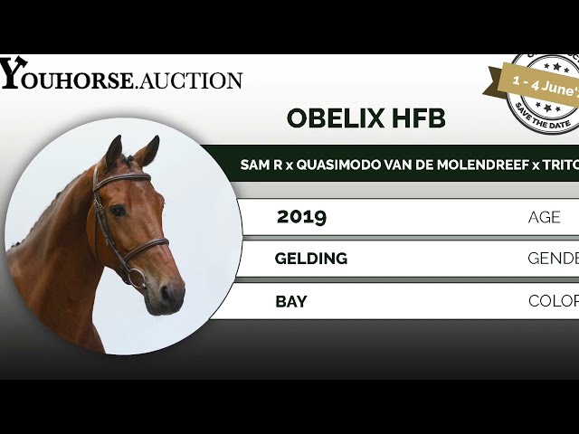 Obelix trainingsvideo