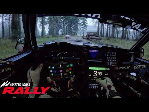 Laser-Scanned Wales Rally Stage is INSANE in Assetto Corsa Rally!