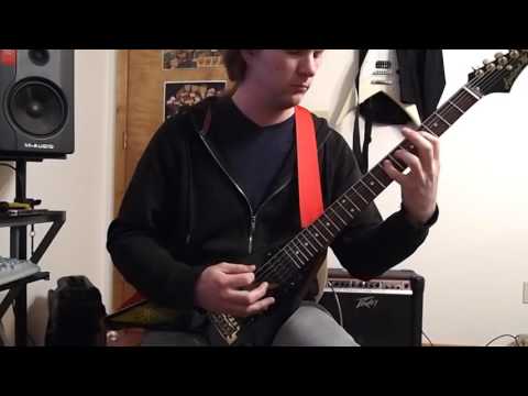 Disforia - The Dying Firmament Guitar Cover