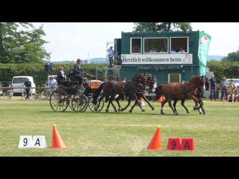 Stottmeister, Markus, GER, CAI3# H4, Donaueschingen, Obstacle driving H4, 19 08 2018