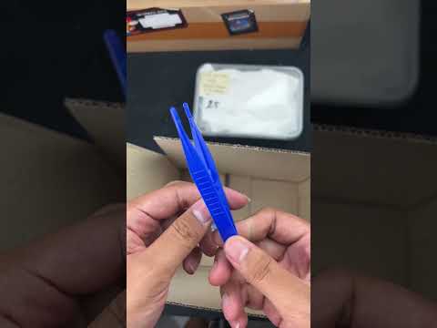 Tips Gecko Pertama Kali Datang