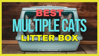 🔥 Best Cat Litter Box for Multiple Cats in 2024 ☑️ TOP 5 ☑️