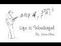 Jason Mraz - Life is Wonderful Music Video 
