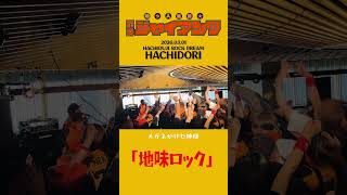 HACHIDORI 2026 03 01「地味ロック」 #ライブ #コミックバンド #邦ロック #バンド