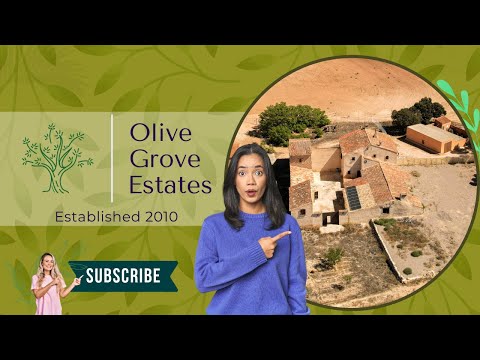 Olive Grove Estates - Charming 18th Century La Mancha Finca - Almansa