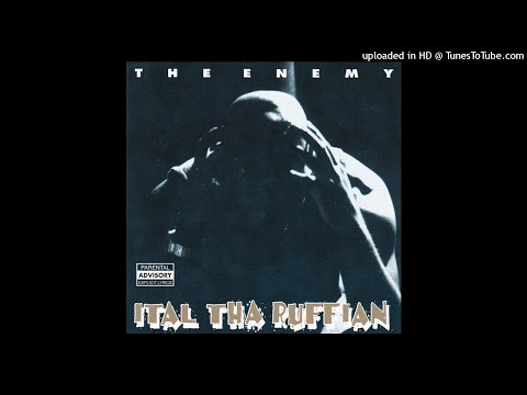 Ital The Ruffian - D.I.N.R. (Death Is Not Racist) (1995)