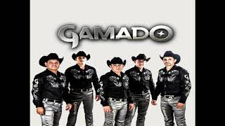 Grupo Gamado - Linda chiquilla (En Vivo)