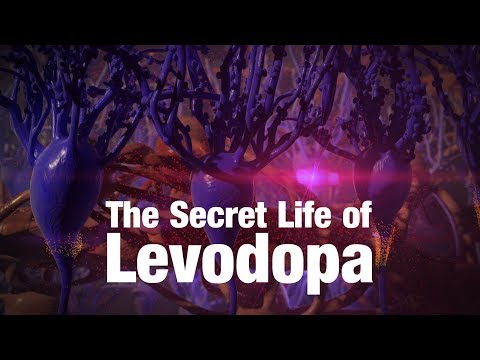 The Secret Life of Levodopa