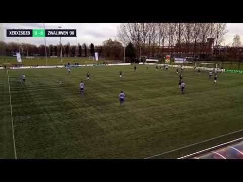 Samenvatting XerxesDZB - Zwaluwen’30