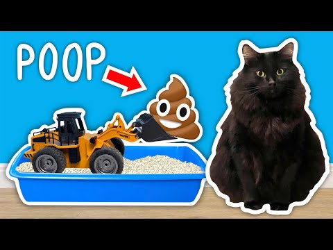 I Built A CAT POOP Cleaning Contraption!