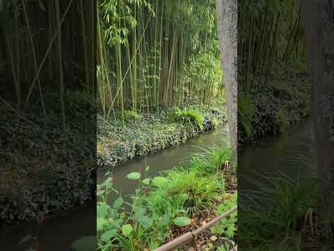 Monet Gardens, Giverny, France, September 28, 2023