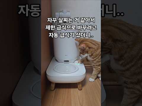 잠금 풀어서 시도 때도 없이 드심