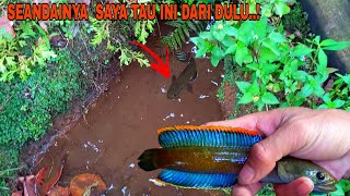 Download lagu How to Find Channa Fishing Spots in Mountain Rivers || Blue Channa Limbata mp3