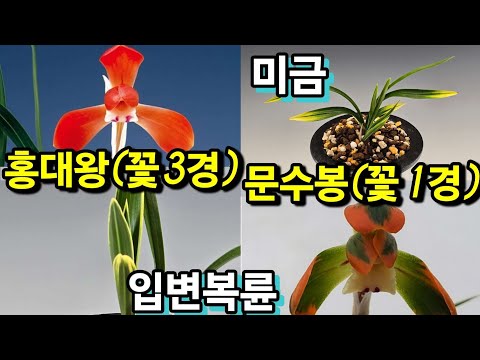 유튜브 썸네일