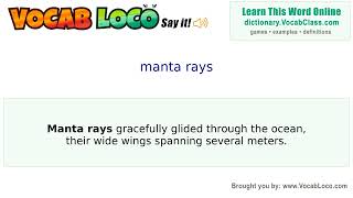 Video thumbnail for manta rays