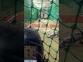 Bullpen Breaking ball +Radar 