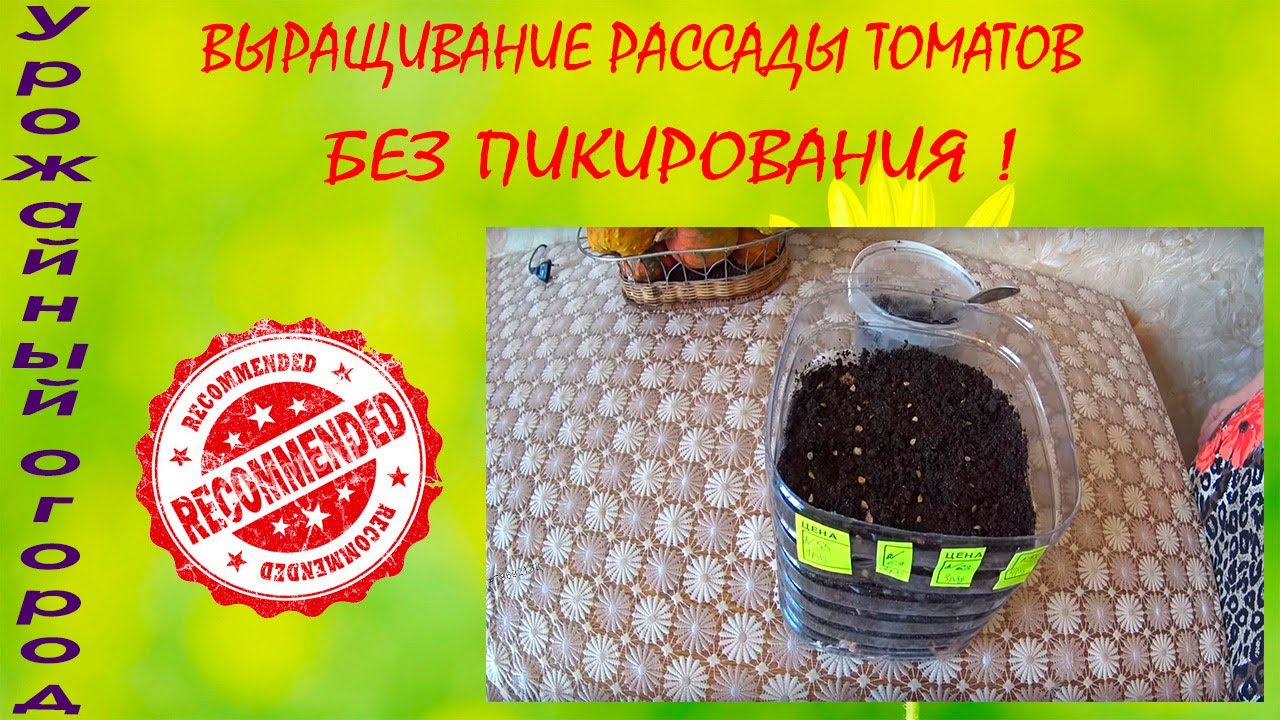 Татьяна Урожайный Огород Интернет Магазин