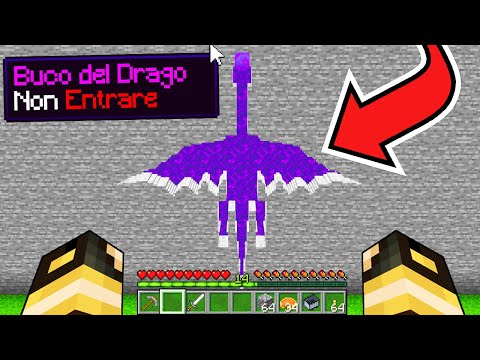 NON ENTRARE NEL BUCO DEL DRAGO SU *MINECRAFT INVASIONE*