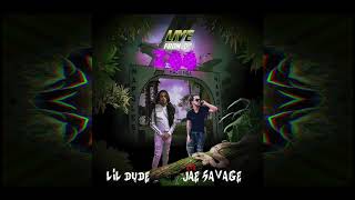 AVAJaeSavage Ft Lil Dude - Live From Da Zoo