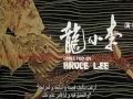 The Story Of Way Of The Dragon I Am Bruce Lee