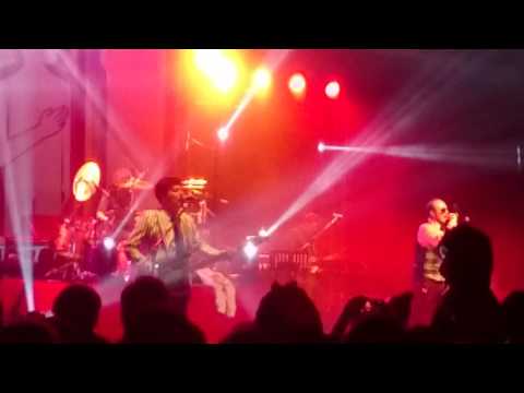 Videoclip de W.W.W. (Weón, Weón, Weón) — Chancho en piedra