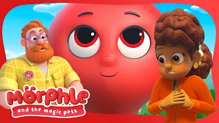 The Most Perfect Day! ✨ Morphle and the Magic Pets ✨ Education Show For Toddlers