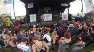 This Wild Life - Roots and Branches Live @ Warped Tour Orlando