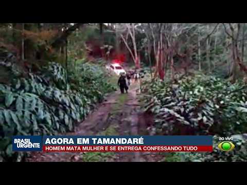 Homem mata companheira e se entrega à polícia em Almirante Tamandaré