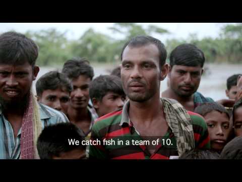 ইলিশ মাছ সংরক্ষণ ও উন্নয়নের প্রামাণ্যচিত্র