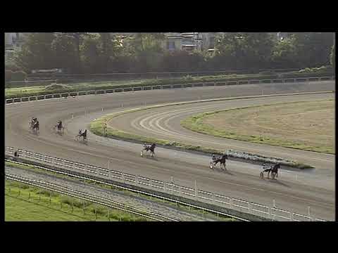 Trotto 03/07/2020 - 2ª prova di qualifica