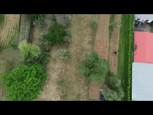 Terreno Edificabile reggello