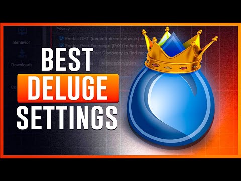 Best Deluge Settings for MAXIMUM Speed and Privacy