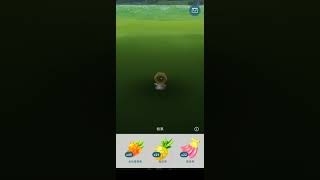 [Pokemon Go] 捕捉第8代神秘精靈#891