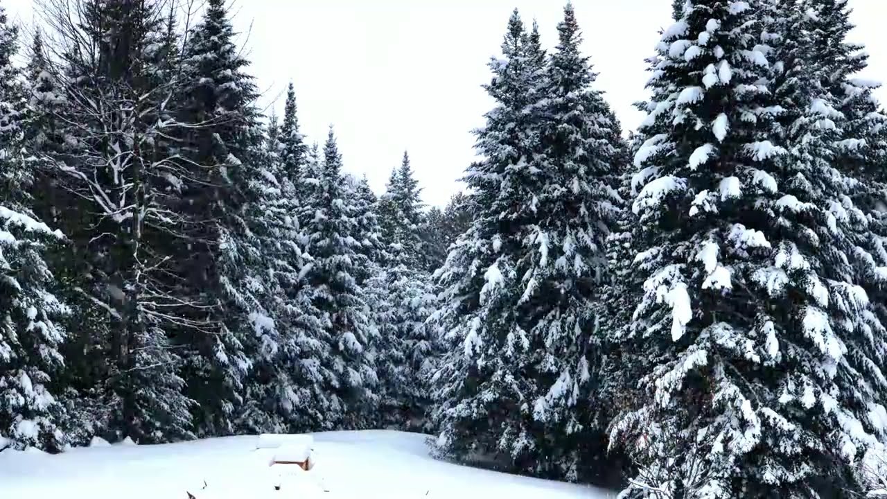 Snow Fall Stratton VT