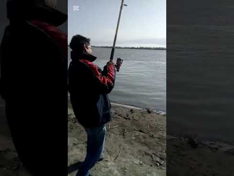 Un recuerdito de una pequeña pesca con amigos!!! Fighiera Santa fe!! Pegado al campo de las papas..